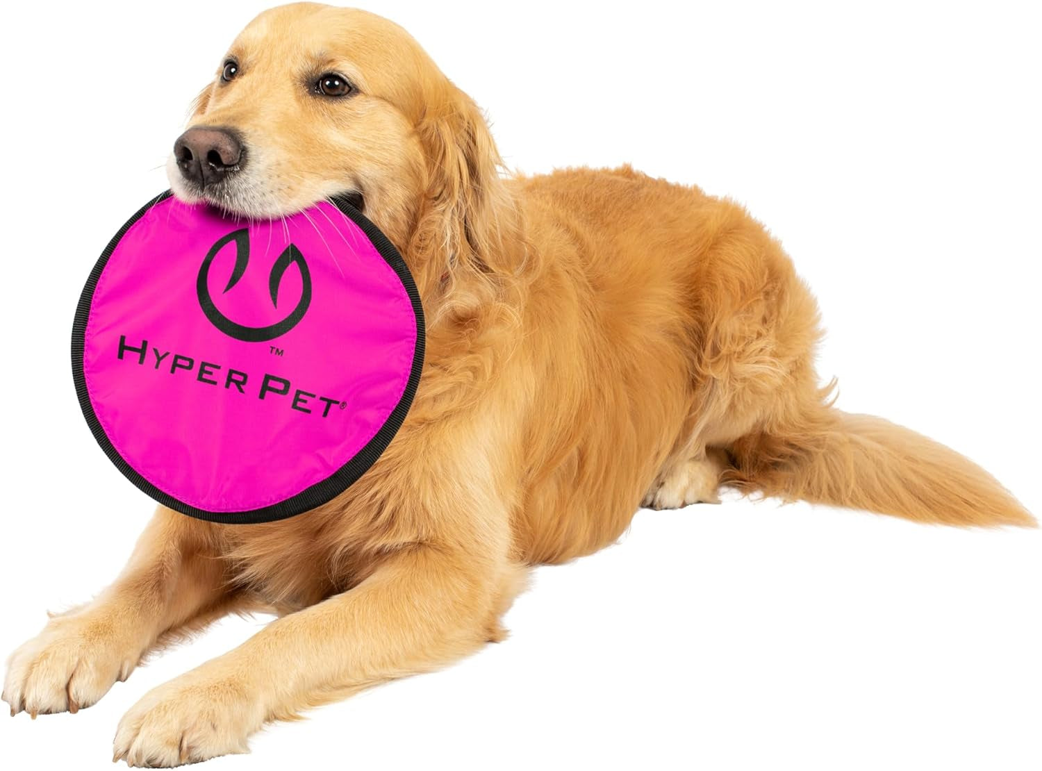 Flippy Flopper 9" Flying Disc Soft Dog Toy, Floats in Water & Safe on Teeth, for All Breeds, Pack of 5 (Colors May Vary)