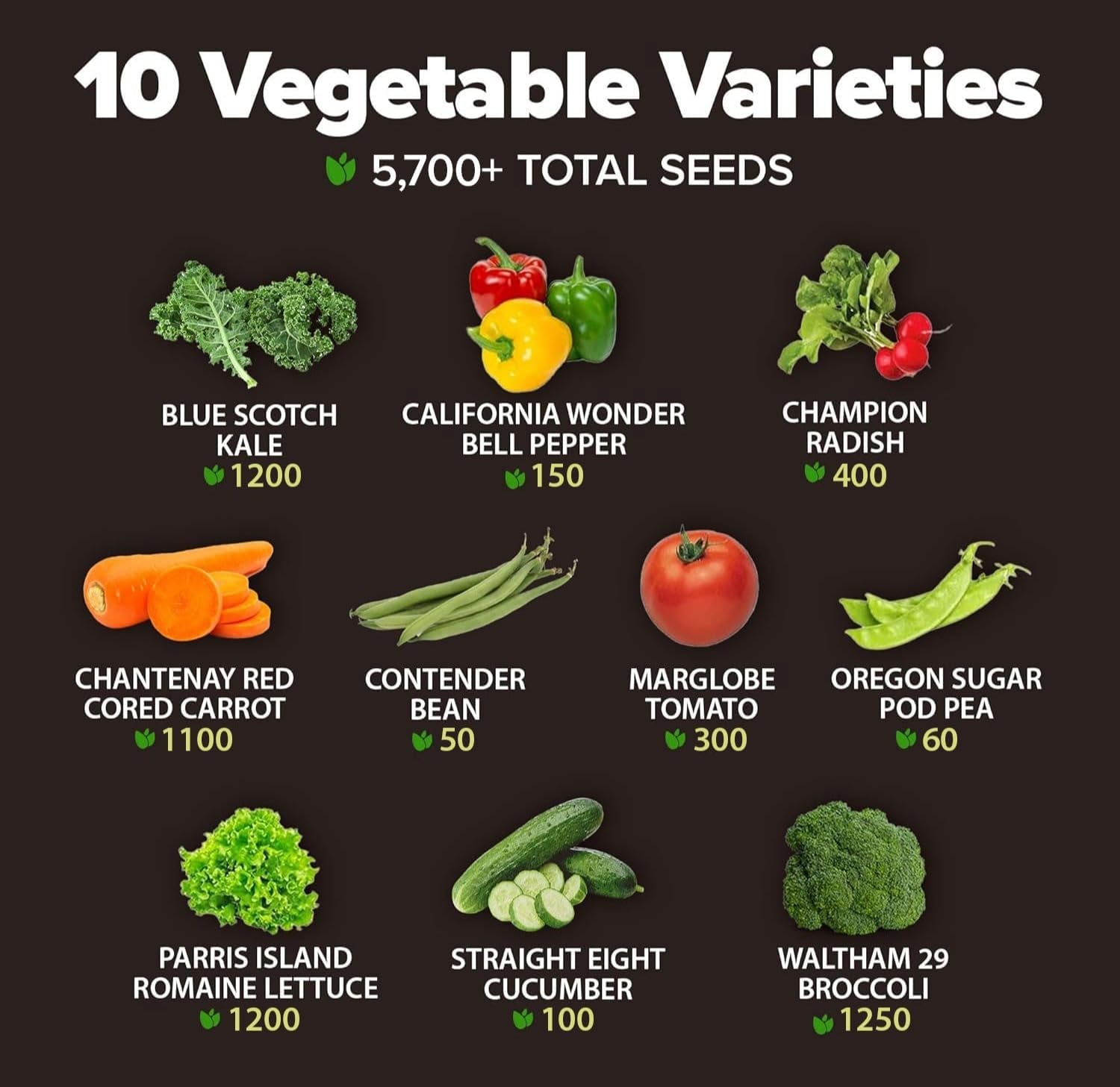 10 Variety Survival Seed Vault 5,700+ USA Grown Heirloom Non-Gmo Vegetable Seeds for Planting, High Germination, Garden Starter Kit, Emergency Food Supply, Indoor Outdoor