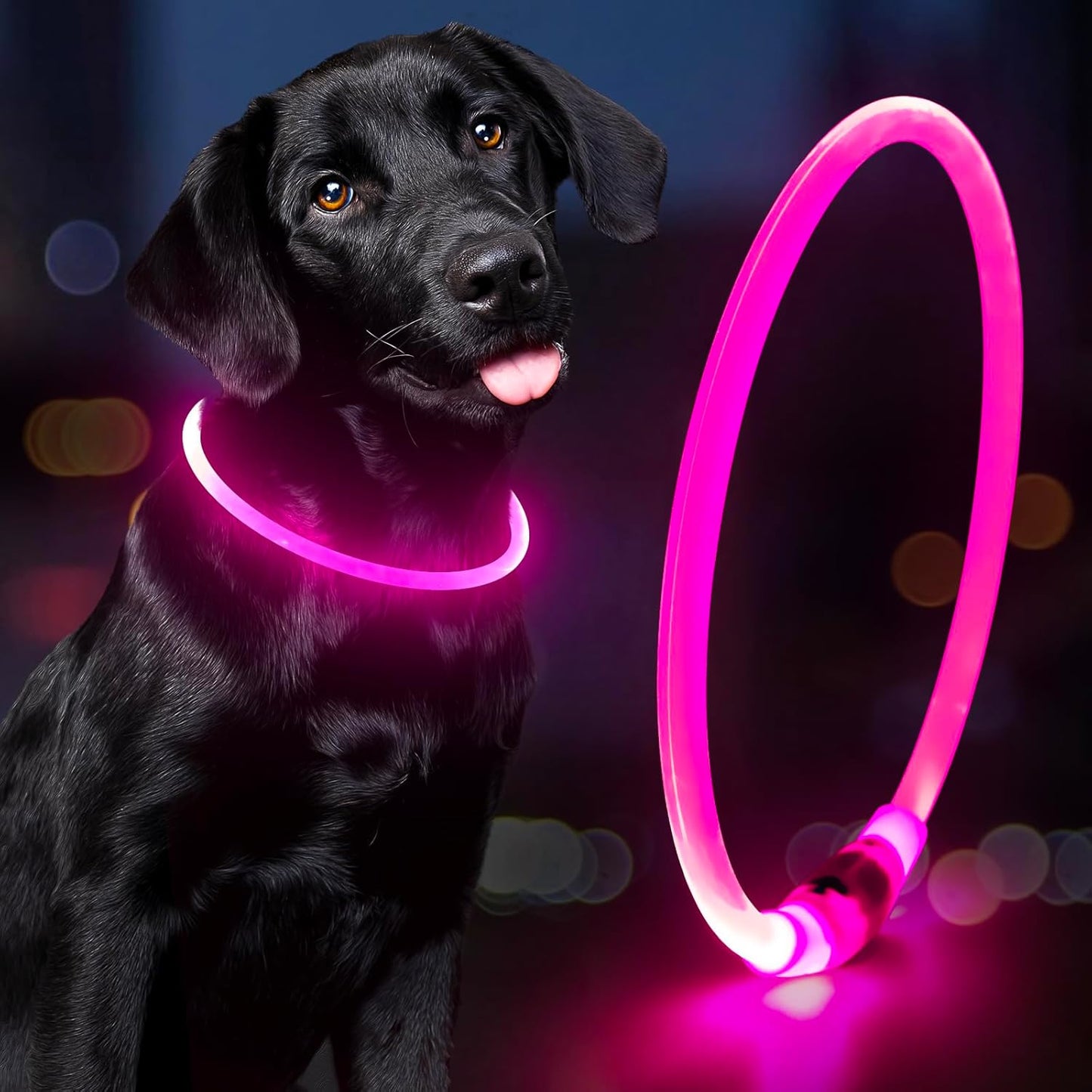 Light up Dog Collar - Waterproof LED Dog Collar Rechargeble, TPU Cuttable Glow in the Dark Safety Dog Lights for Night Walking(Blue)