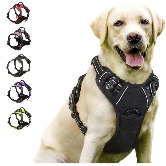 Dog Collar Harness & Leash Set – Leather Vest for Small & Medium Dogs