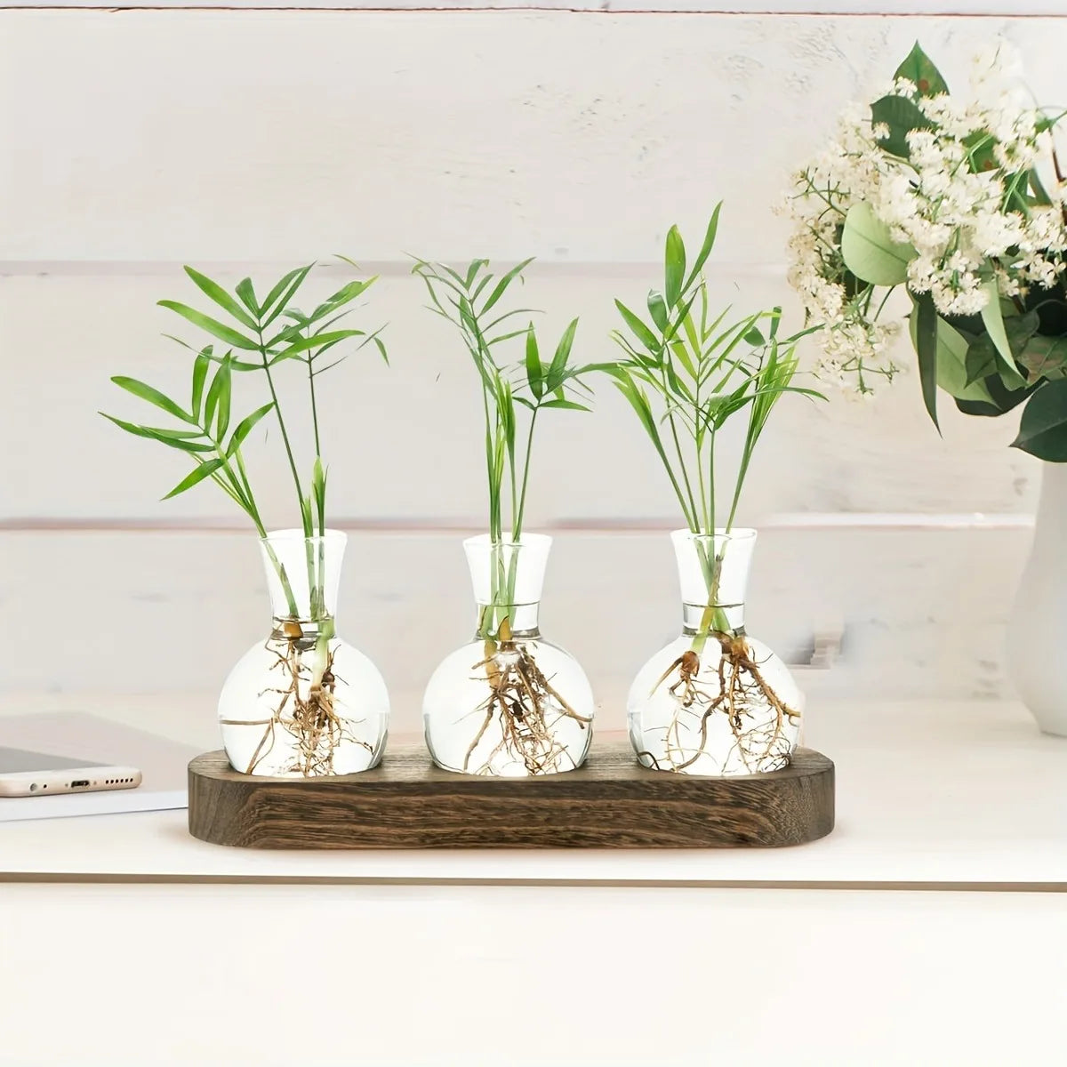 Modern Glass Plant Terrarium with Wooden Tray – Hydroponic Vase for Indoor Propagation Station, Desktop Home Office Decor