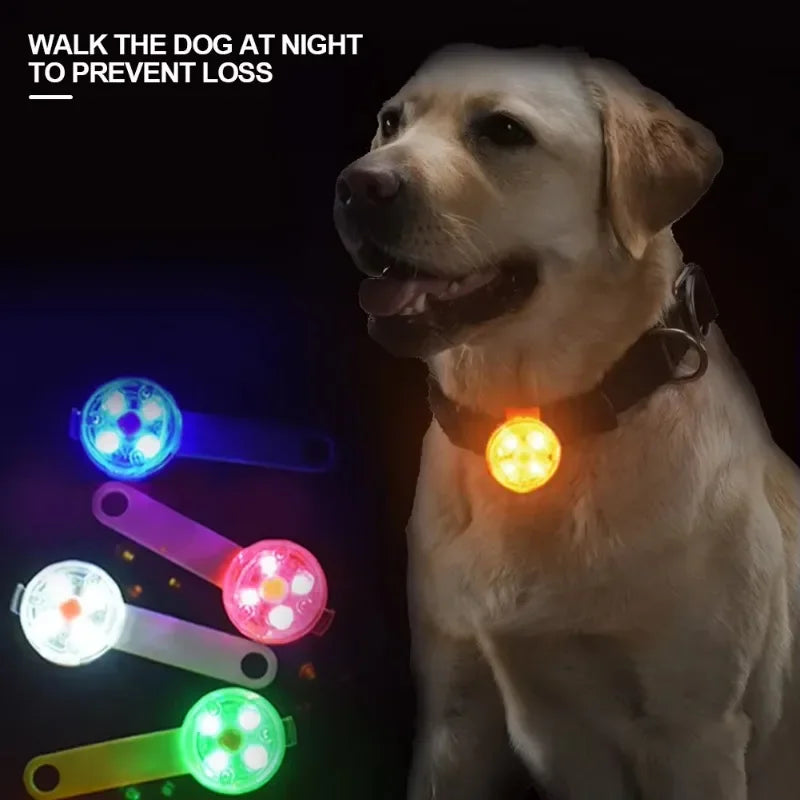 USB Rechargeable Waterproof LED Dog Collar High Brightness Safety Light for Pets