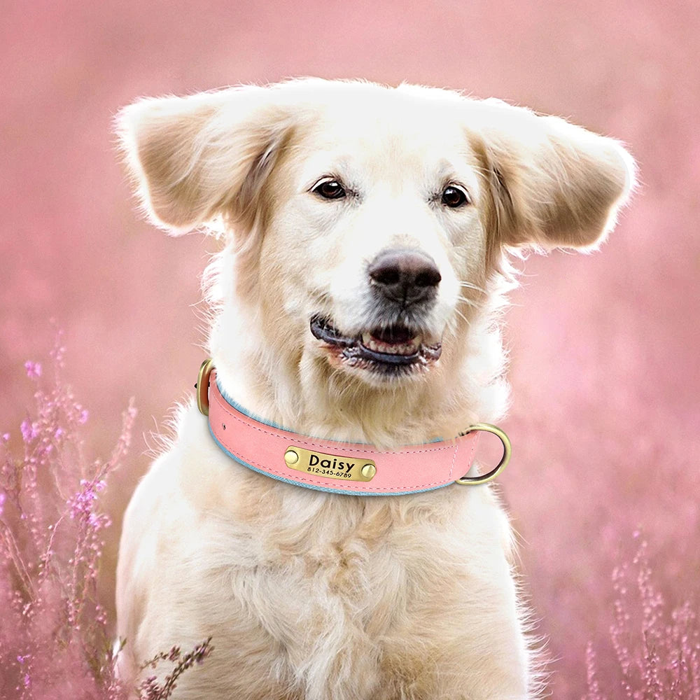 Customized PU Leather Dog Collar – Soft Padded Adjustable Name Engraved Collar