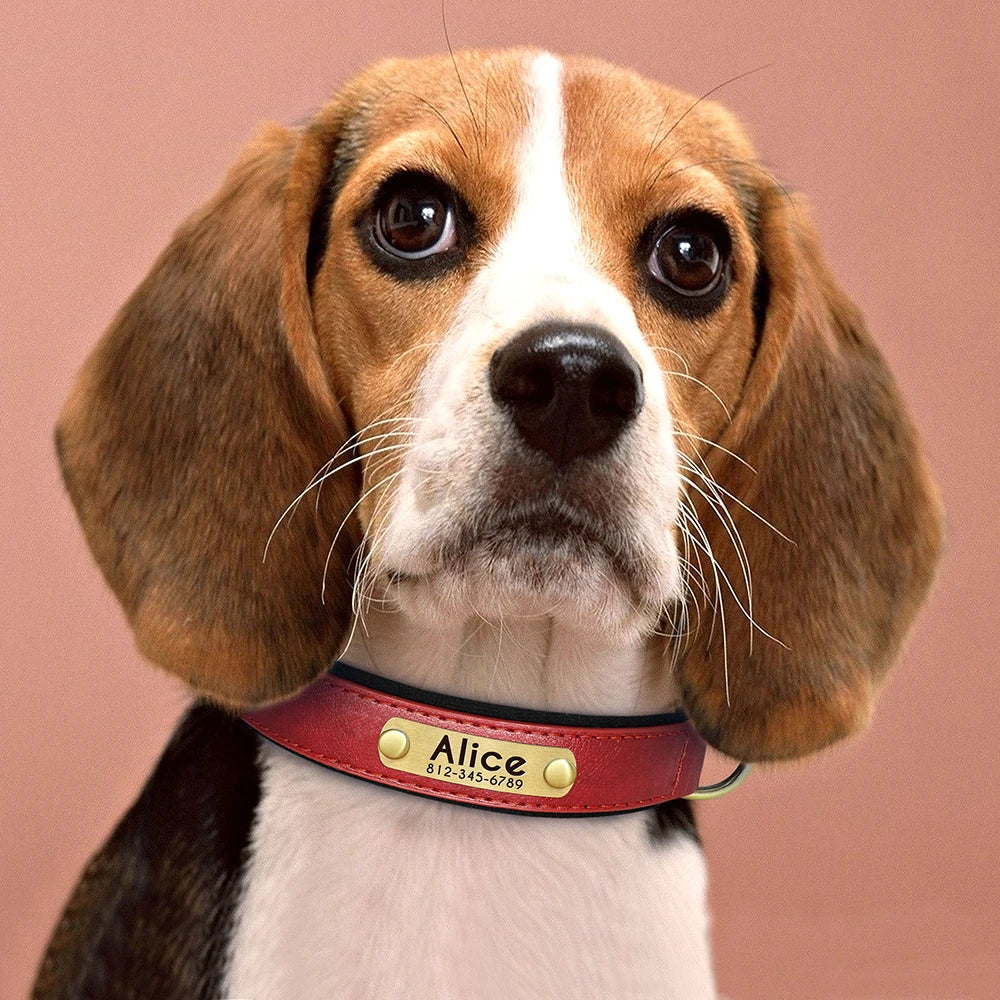 Customized PU Leather Dog Collar – Soft Padded Adjustable Name Engraved Collar