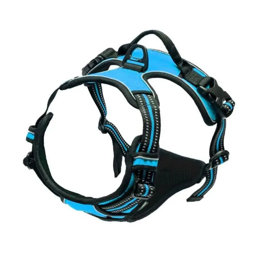 Dog Collar Harness & Leash Set – Leather Vest for Small & Medium Dogs