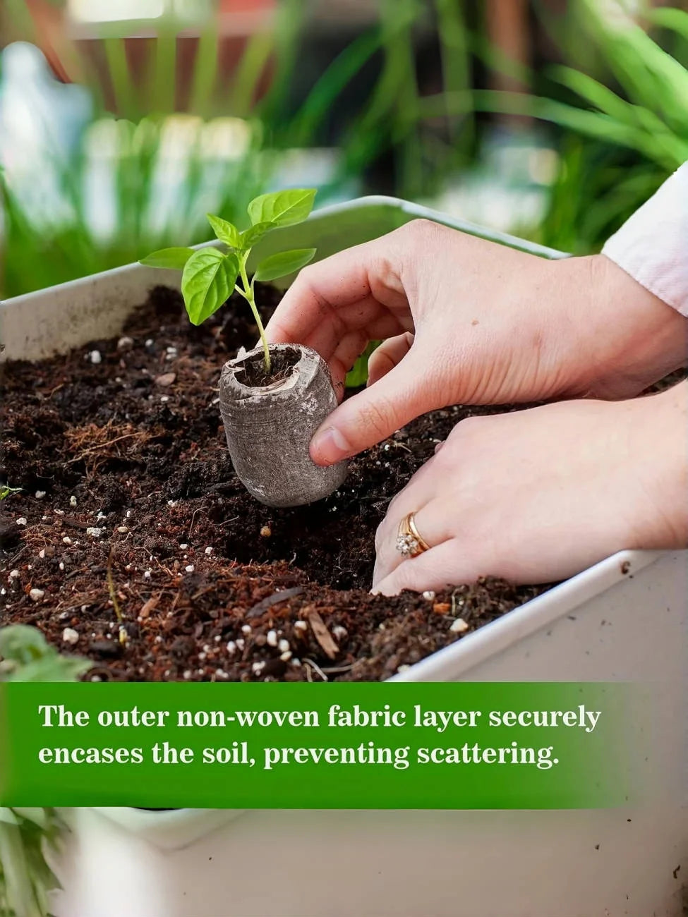 40pcs Coir Pellets 30mm Seed Starter Pods Kit Vegetable Flower Plant Seedlings