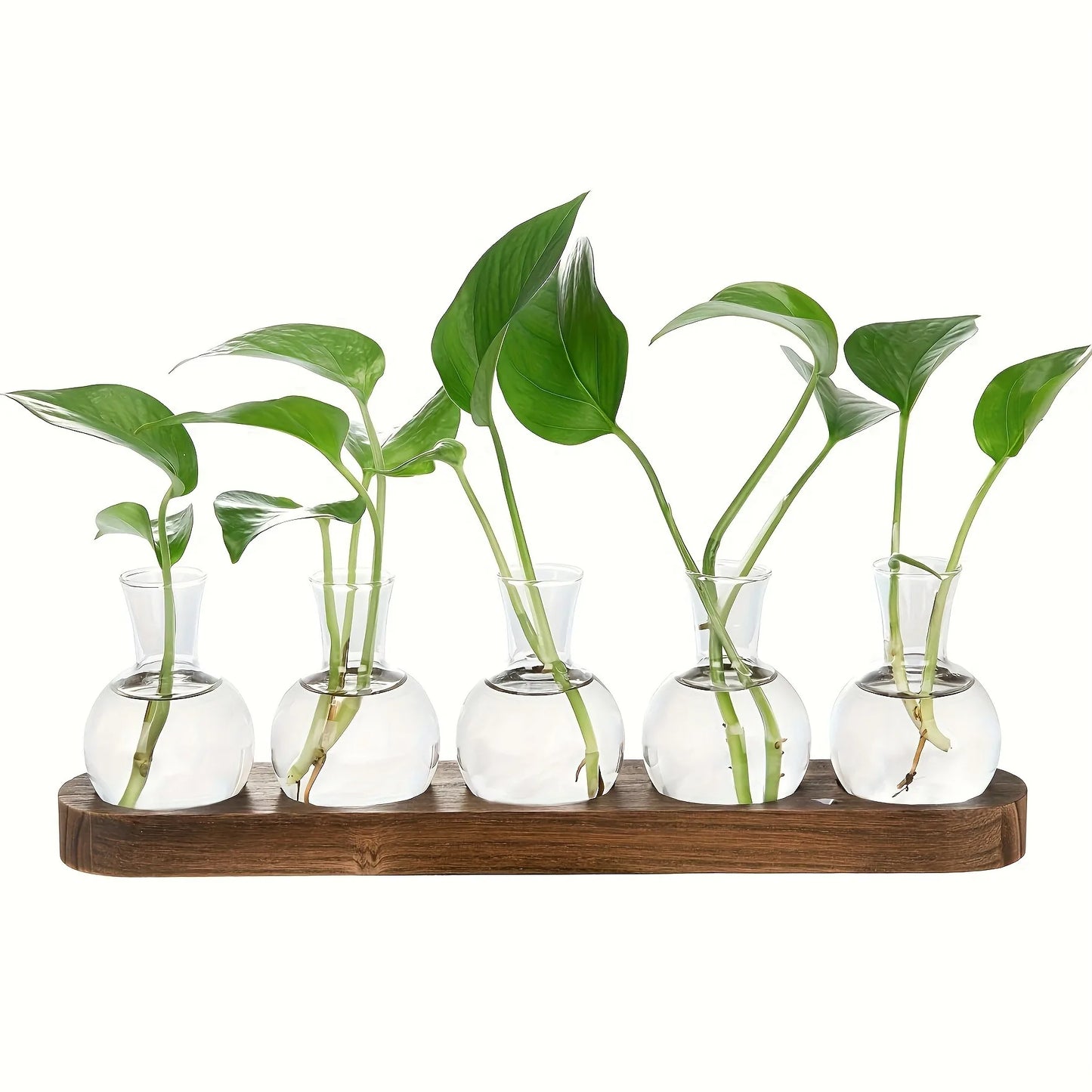 Modern Glass Plant Terrarium with Wooden Tray – Hydroponic Vase for Indoor Propagation Station, Desktop Home Office Decor
