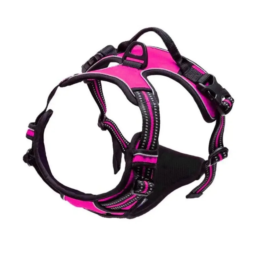 Dog Collar Harness & Leash Set – Leather Vest for Small & Medium Dogs