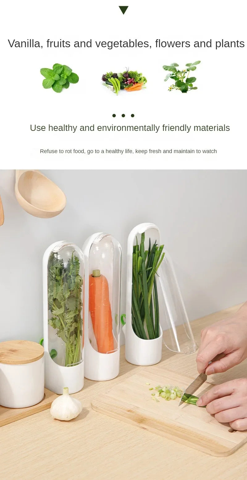 Refrigerator Herb Keeper Freshness Container
