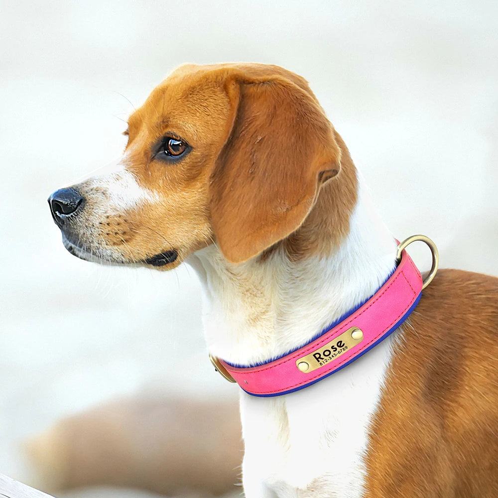 Customized PU Leather Dog Collar – Soft Padded Adjustable Name Engraved Collar
