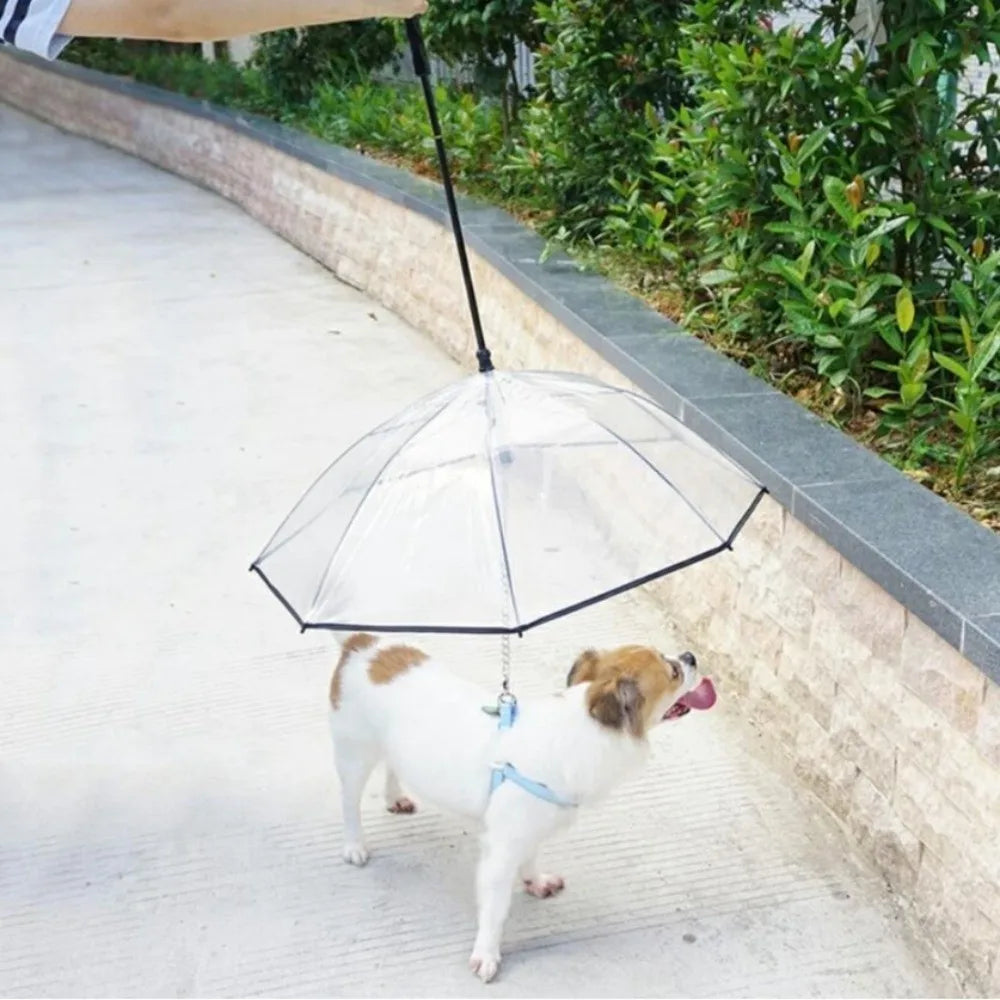 Clear Dog Umbrella with Leash – Adjustable Rainproof Pet Poncho for Rain & Snow