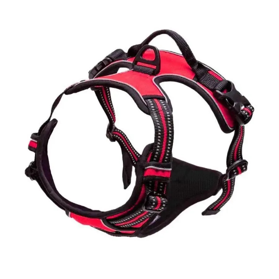 Dog Collar Harness & Leash Set – Leather Vest for Small & Medium Dogs