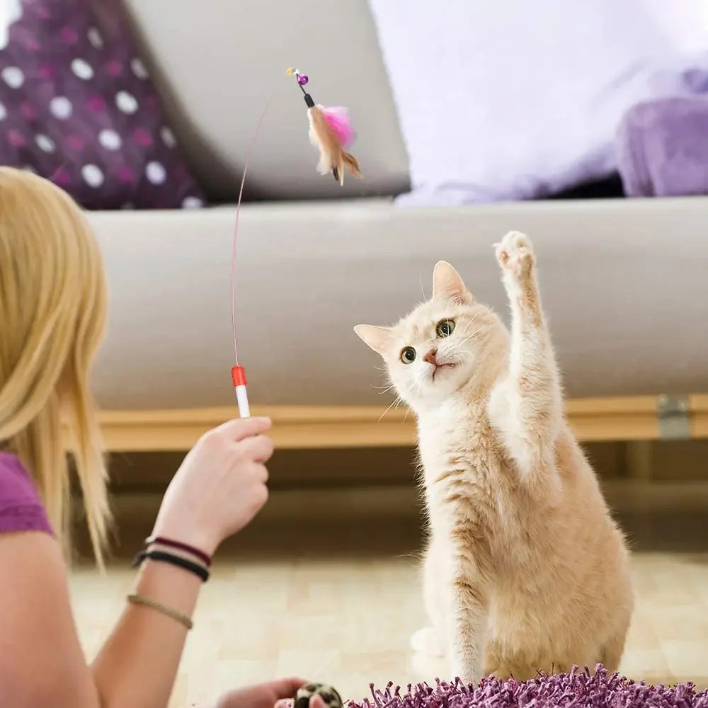 Ultimate Kitten Toys Variety Pack | Interactive Cat Toy Set & Sisal Mouse