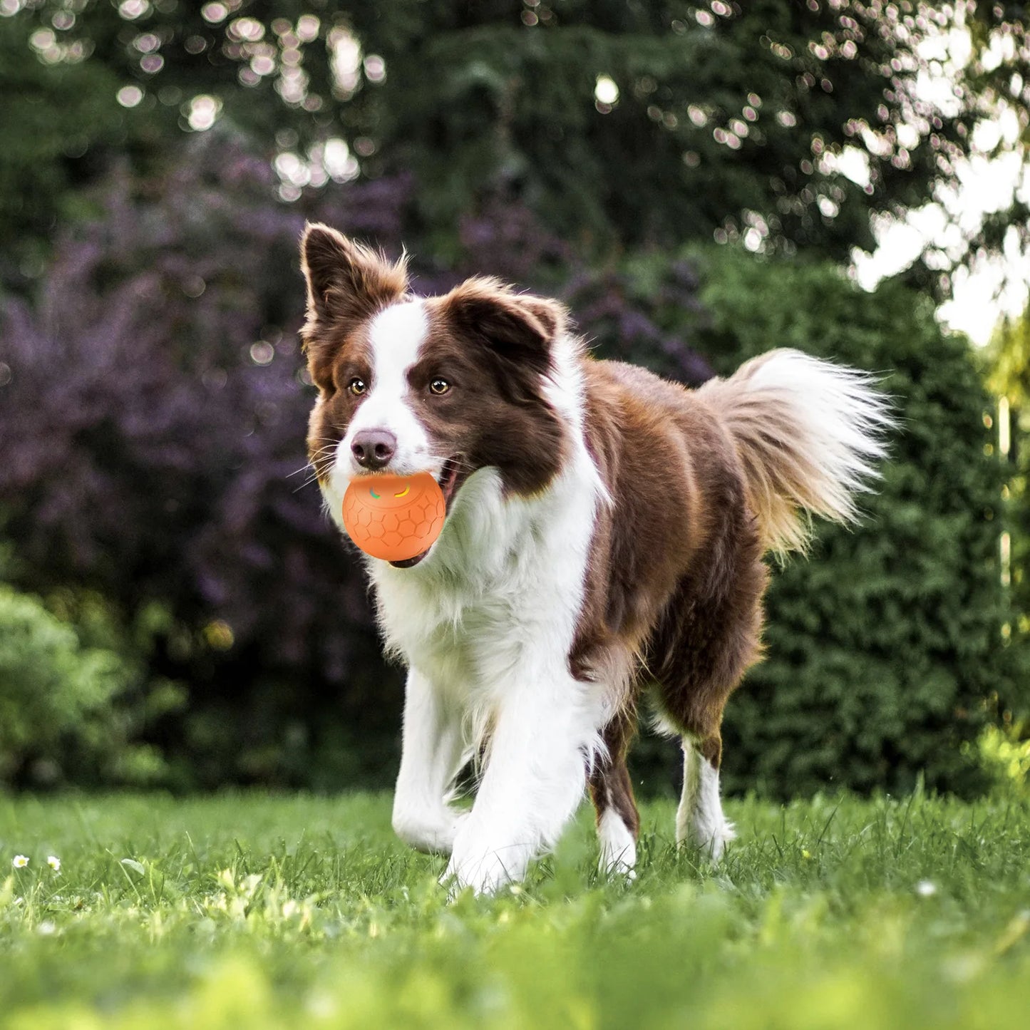 Smart Interactive Dog Toy Ball – USB Rechargeable Automatic Bouncing LED Pet Toy for Dogs & Cats