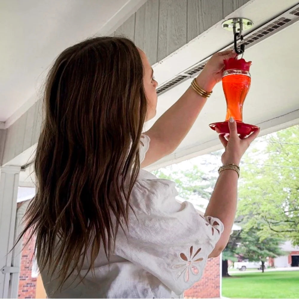 Hand-Blown Glass Hummingbird Feeder | 16oz Leak-Proof & Bee-Resistant
