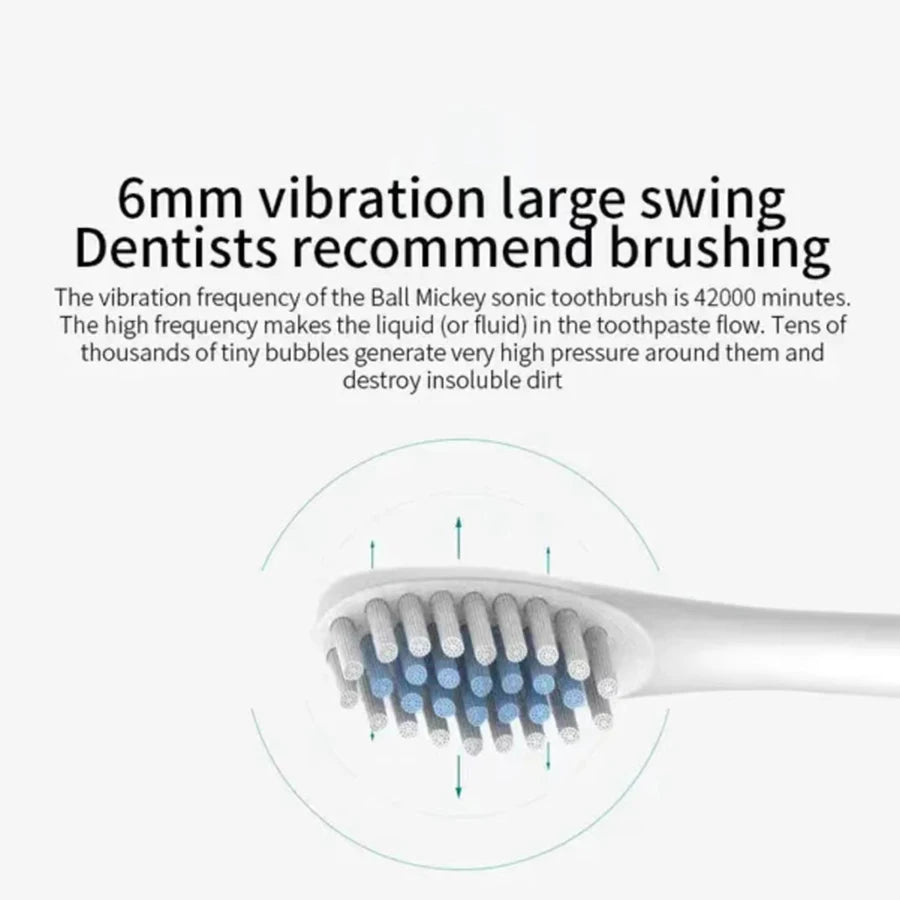 Electric Ultrasonic Toothbrush – 6 Speed USB Rechargeable Waterproof Tooth Cleaner (Couple Set)