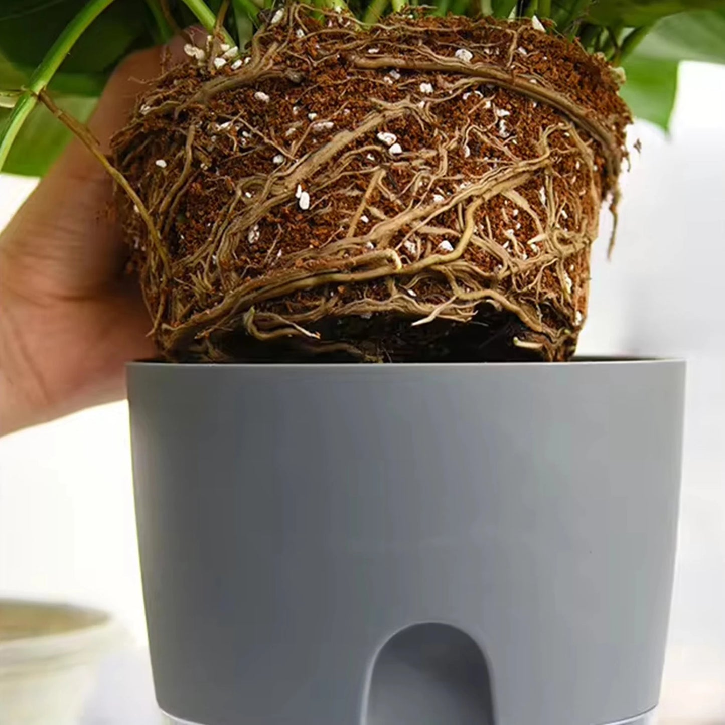 8.2/10.5/15.3/23.5cm Hydroponic Pot Self Watering Flower Pot Liquid Farming Soilless Cultivation Planter Cotton Rope Watering