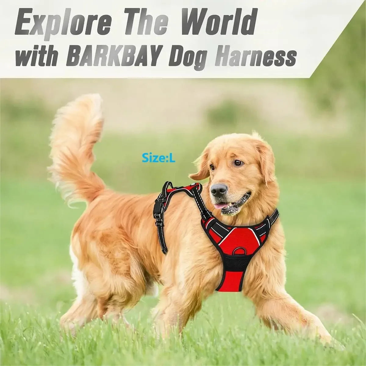 Dog Collar Harness & Leash Set – Leather Vest for Small & Medium Dogs