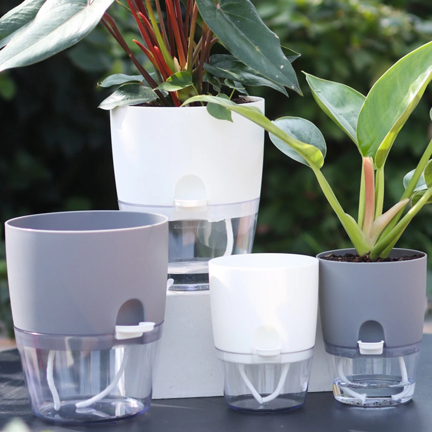 8.2/10.5/15.3/23.5cm Hydroponic Pot Self Watering Flower Pot Liquid Farming Soilless Cultivation Planter Cotton Rope Watering