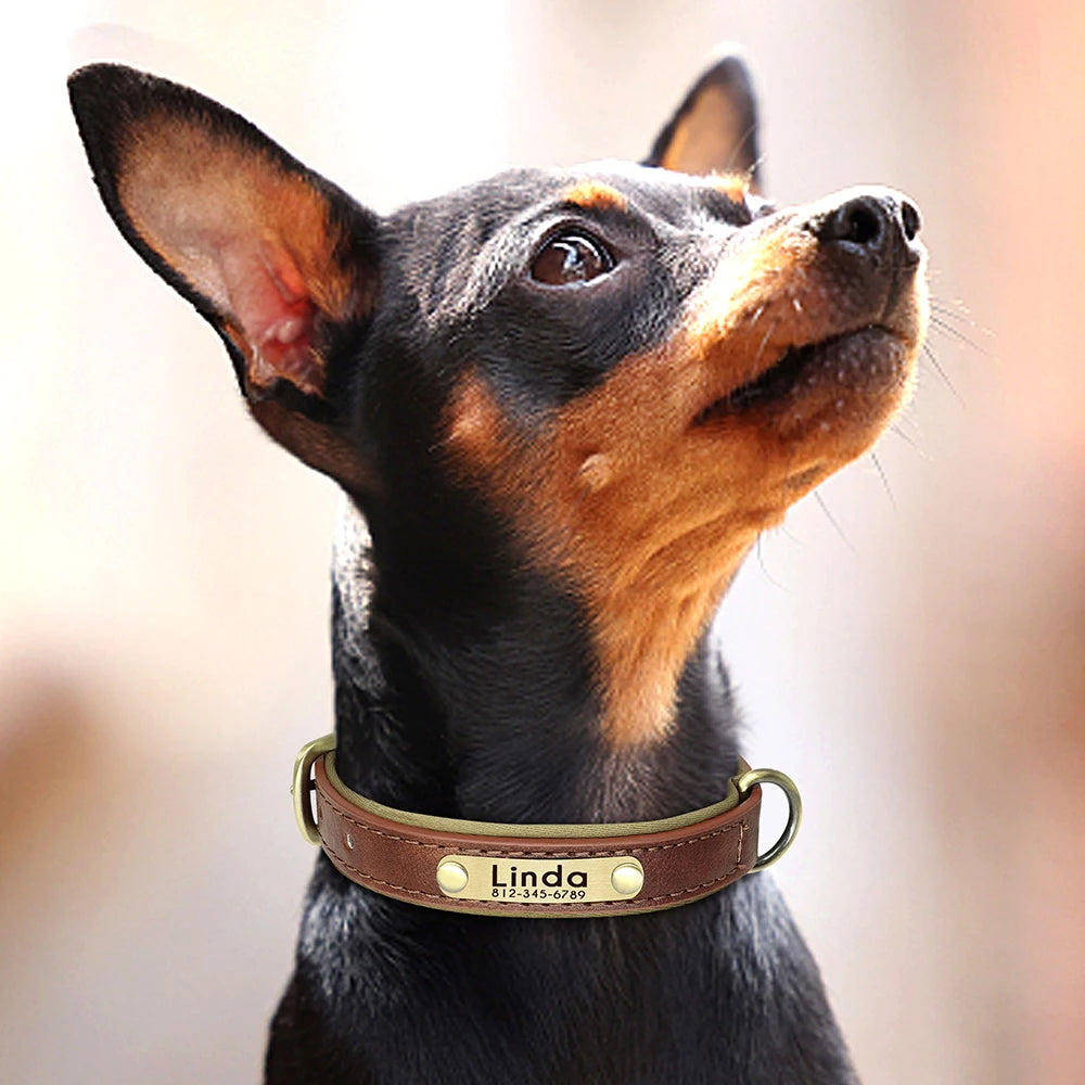 Customized PU Leather Dog Collar – Soft Padded Adjustable Name Engraved Collar