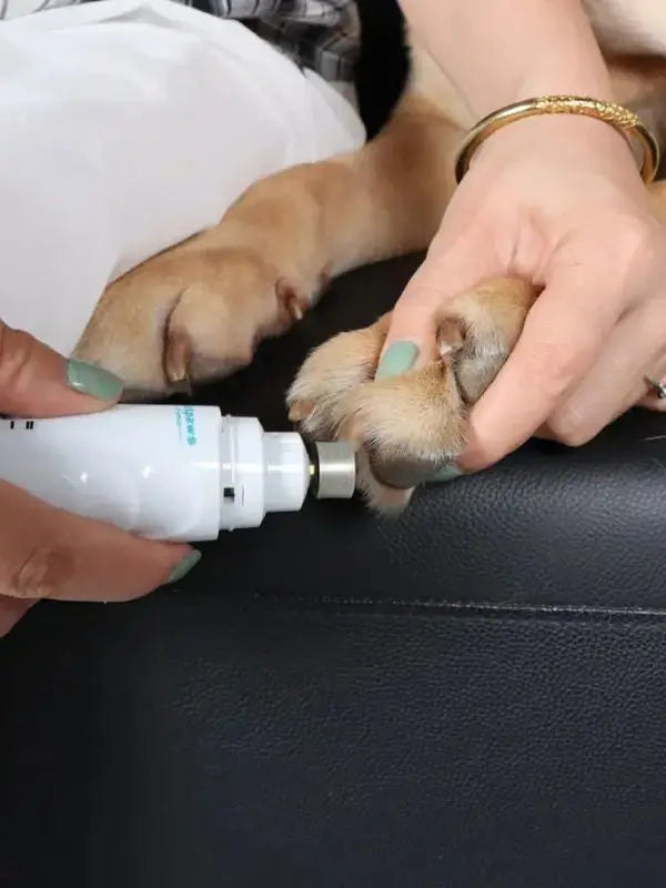 Electric Pet Nail Grinder & Trimmer – USB Rechargeable Quiet 2-Speed Dog & Cat Nail Care Tool