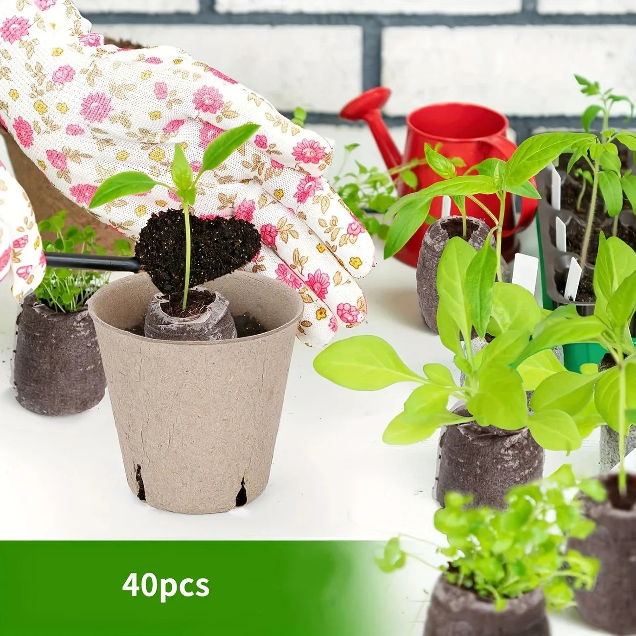 40pcs Coir Pellets 30mm Seed Starter Pods Kit Vegetable Flower Plant Seedlings