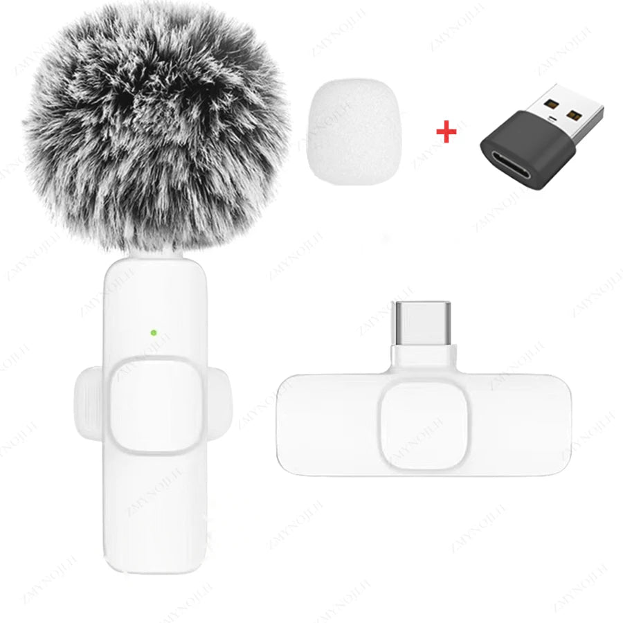 Professional Wireless Lavalier Microphone Mini Portable Mic for iPhone Android and Camera