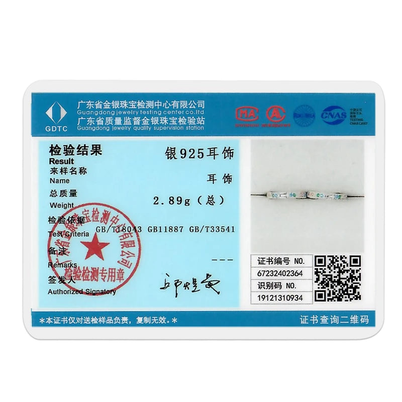 925 Sterling Silver Hoops Earrings Hypoallergenic Hoops Earrings With Zirconia Fashion High Quality Jewelry for Women Girls