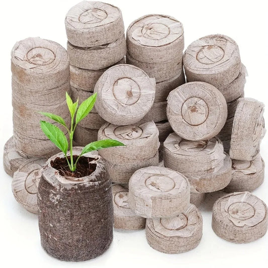40pcs Coir Pellets 30mm Seed Starter Pods Kit Vegetable Flower Plant Seedlings