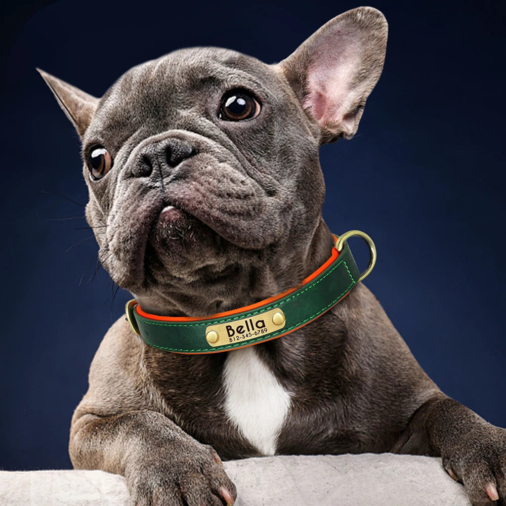 Customized PU Leather Dog Collar – Soft Padded Adjustable Name Engraved Collar
