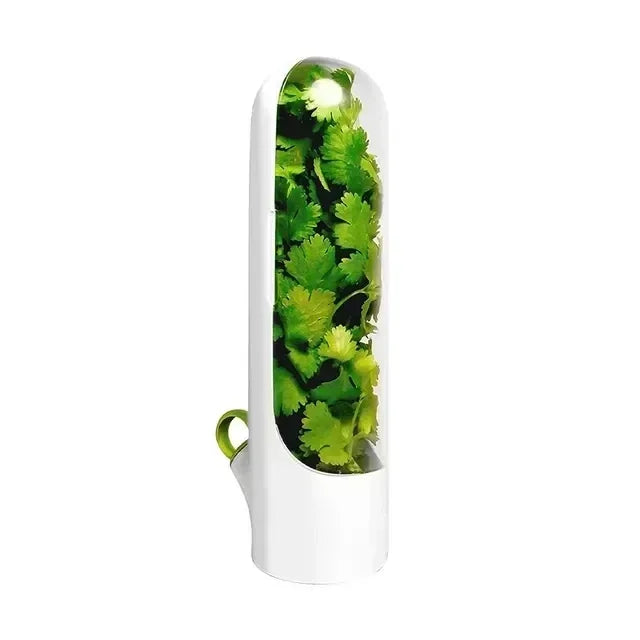 Refrigerator Herb Keeper Freshness Container