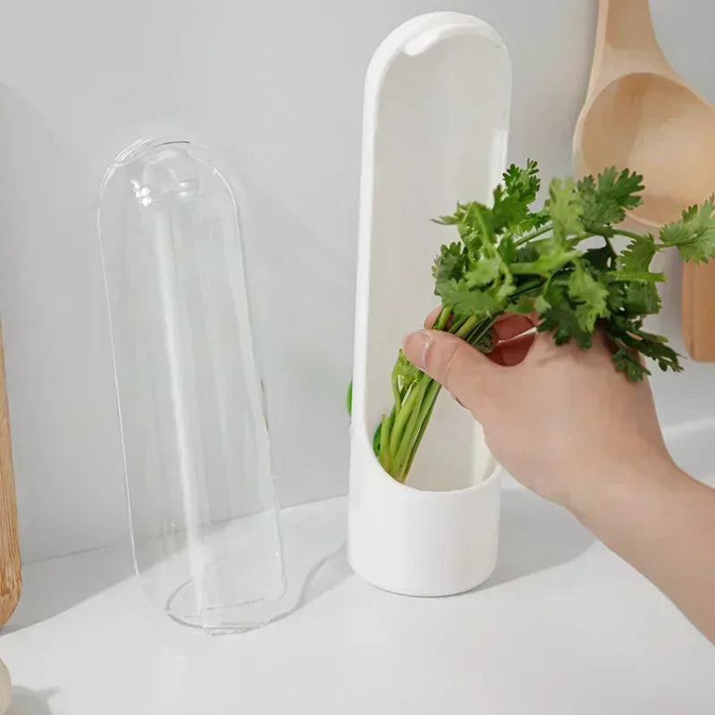 Refrigerator Herb Keeper Freshness Container