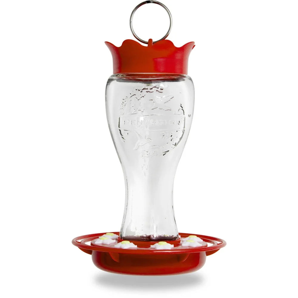 Hand-Blown Glass Hummingbird Feeder | 16oz Leak-Proof & Bee-Resistant