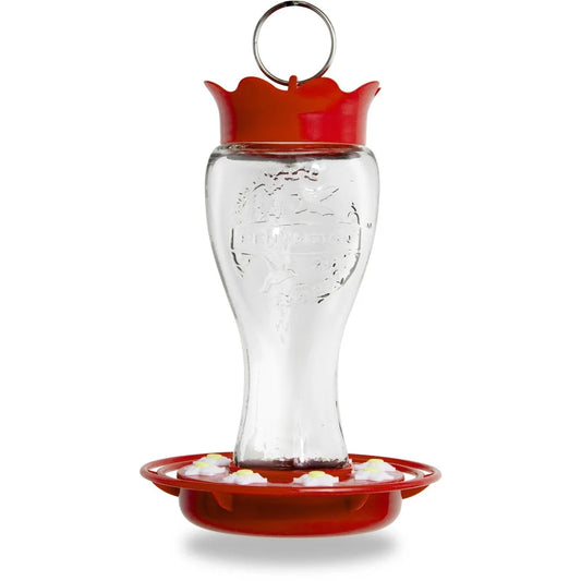Hand-Blown Glass Hummingbird Feeder | 16oz Leak-Proof & Bee-Resistant