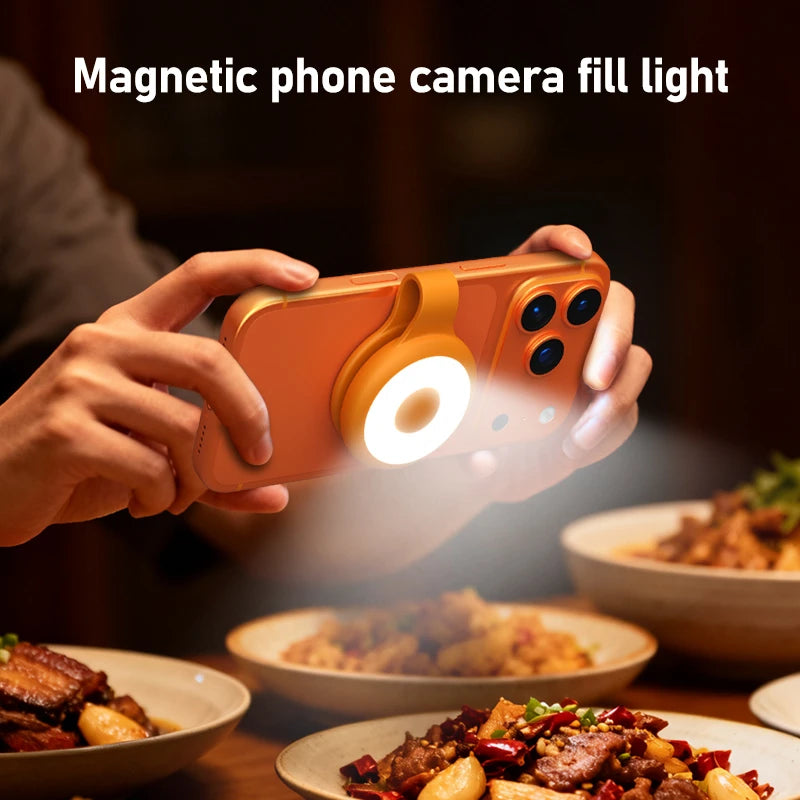 Portable LED Fill Light Searchlight