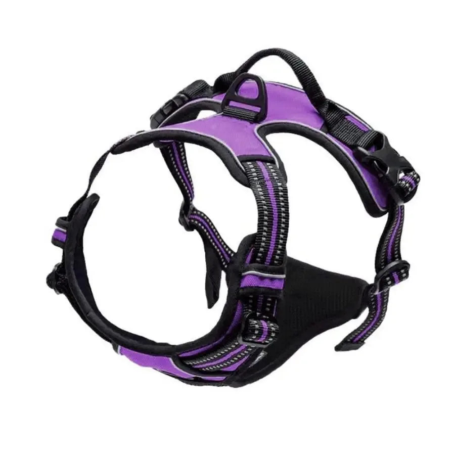 Dog Collar Harness & Leash Set – Leather Vest for Small & Medium Dogs