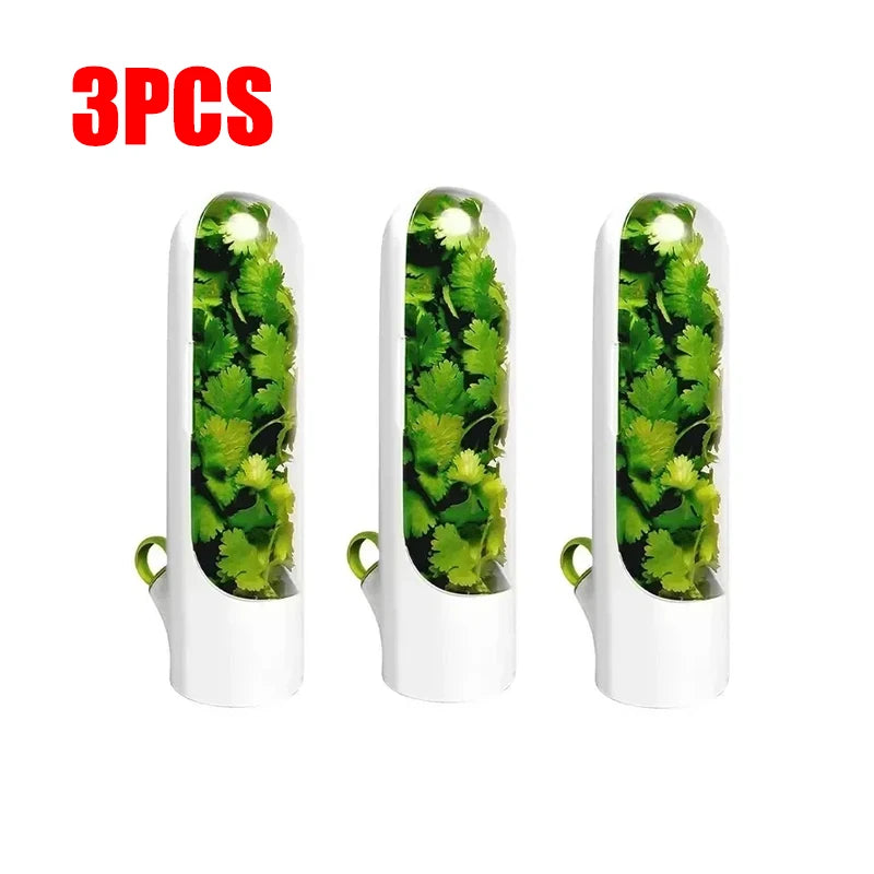Refrigerator Herb Keeper Freshness Container