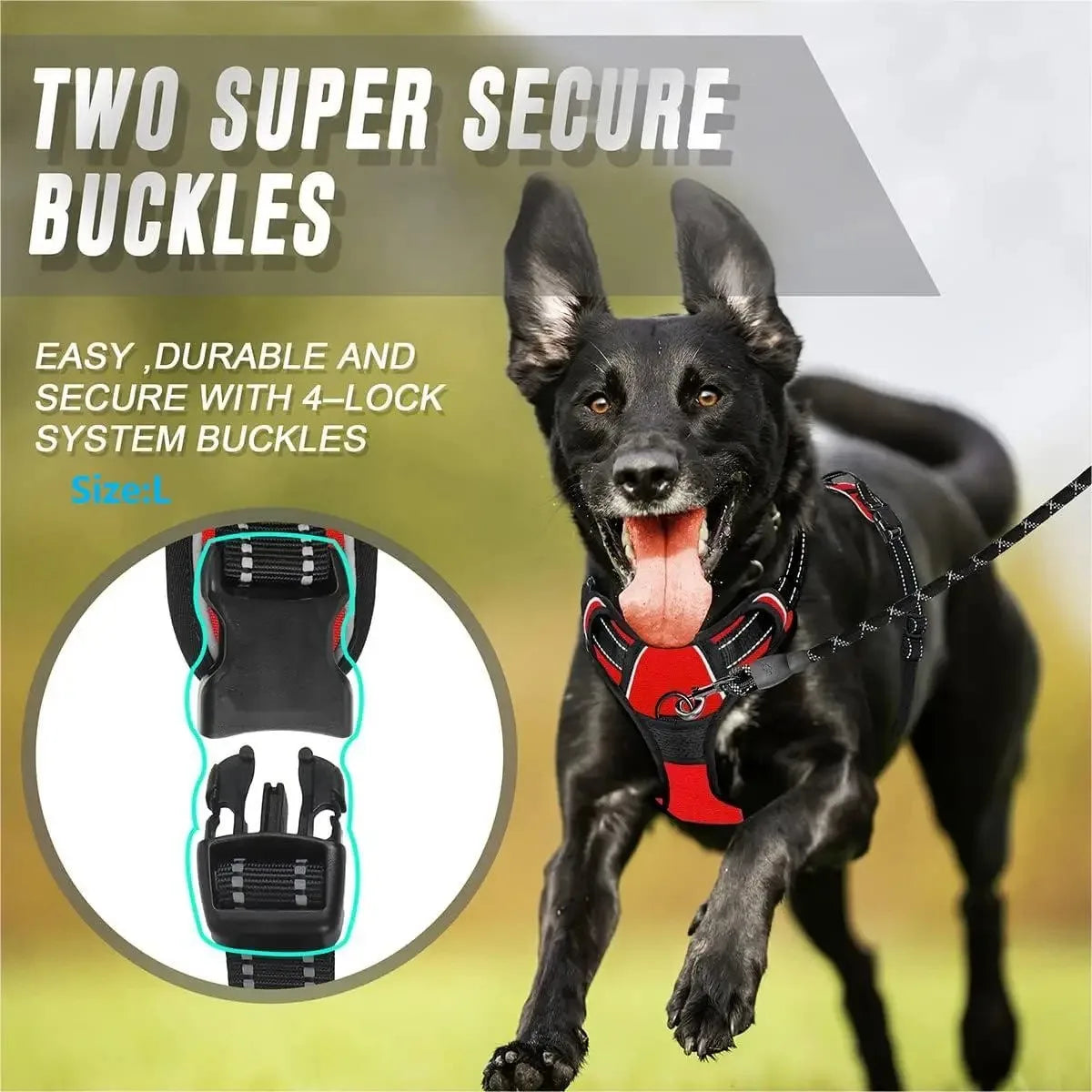 Dog Collar Harness & Leash Set – Leather Vest for Small & Medium Dogs