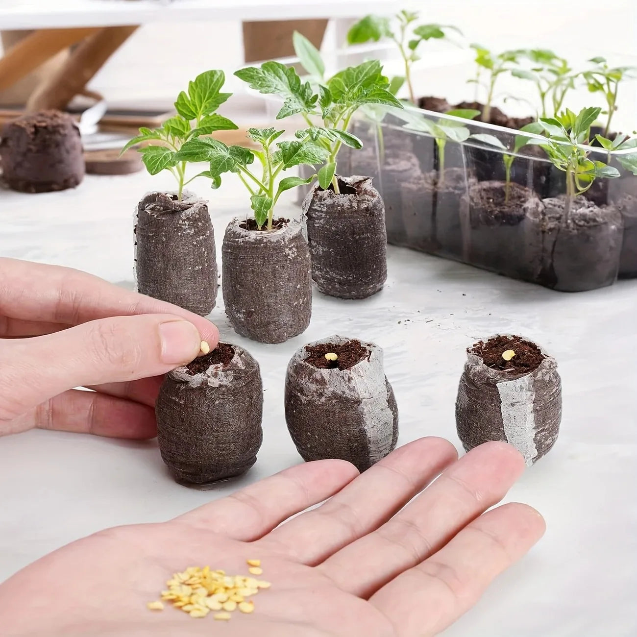 40pcs Coir Pellets 30mm Seed Starter Pods Kit Vegetable Flower Plant Seedlings