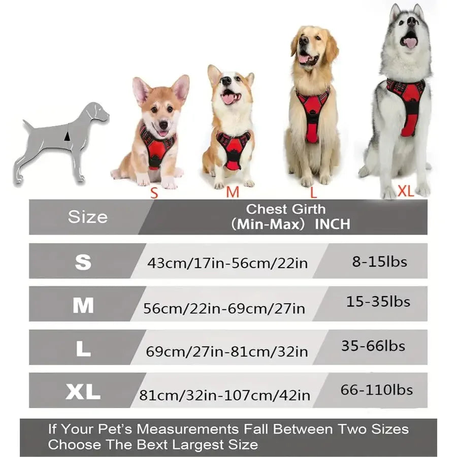 Dog Collar Harness & Leash Set – Leather Vest for Small & Medium Dogs