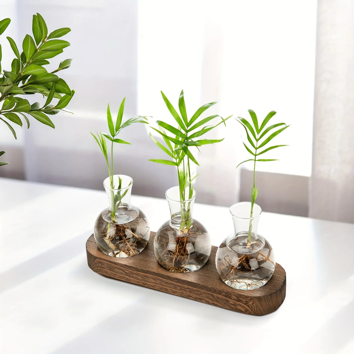Modern Glass Plant Terrarium with Wooden Tray – Hydroponic Vase for Indoor Propagation Station, Desktop Home Office Decor