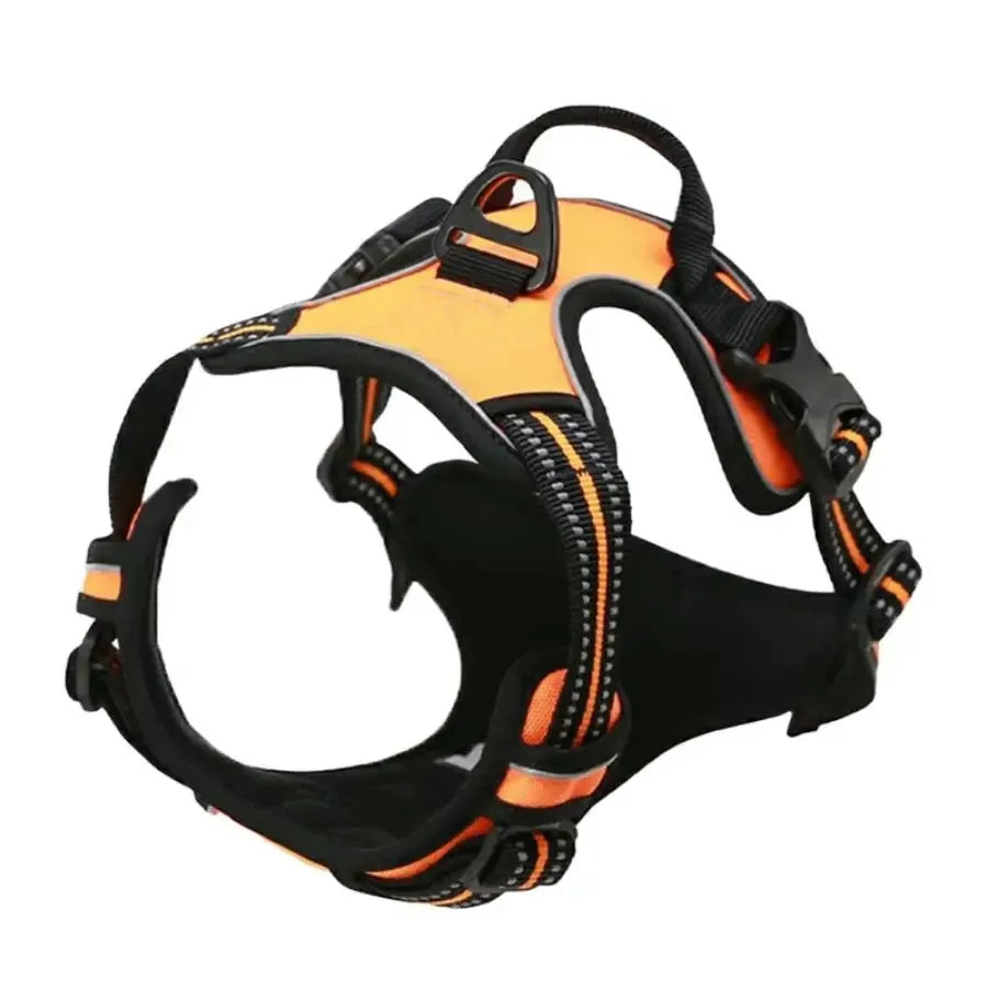 Dog Collar Harness & Leash Set – Leather Vest for Small & Medium Dogs