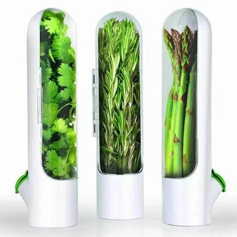 Refrigerator Herb Keeper Freshness Container