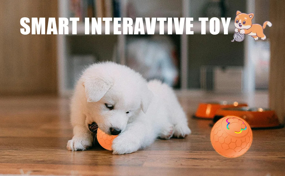 Smart Interactive Dog Toy Ball – USB Rechargeable Automatic Bouncing LED Pet Toy for Dogs & Cats
