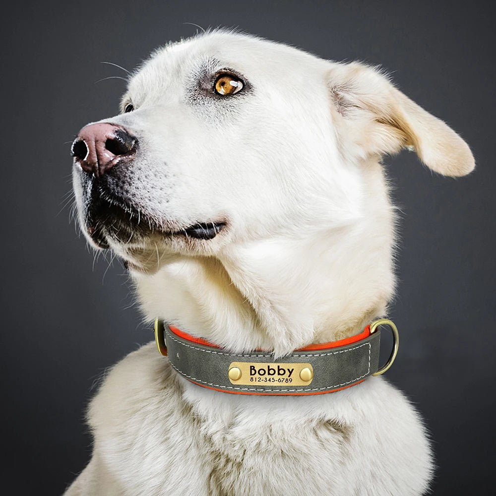 Customized PU Leather Dog Collar – Soft Padded Adjustable Name Engraved Collar