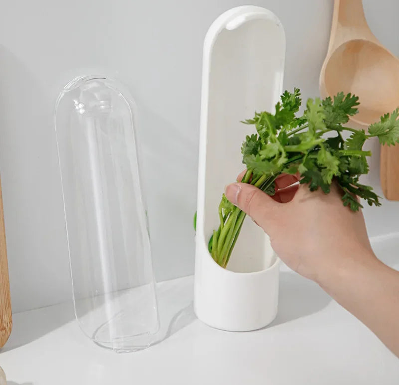 Refrigerator Herb Keeper Freshness Container