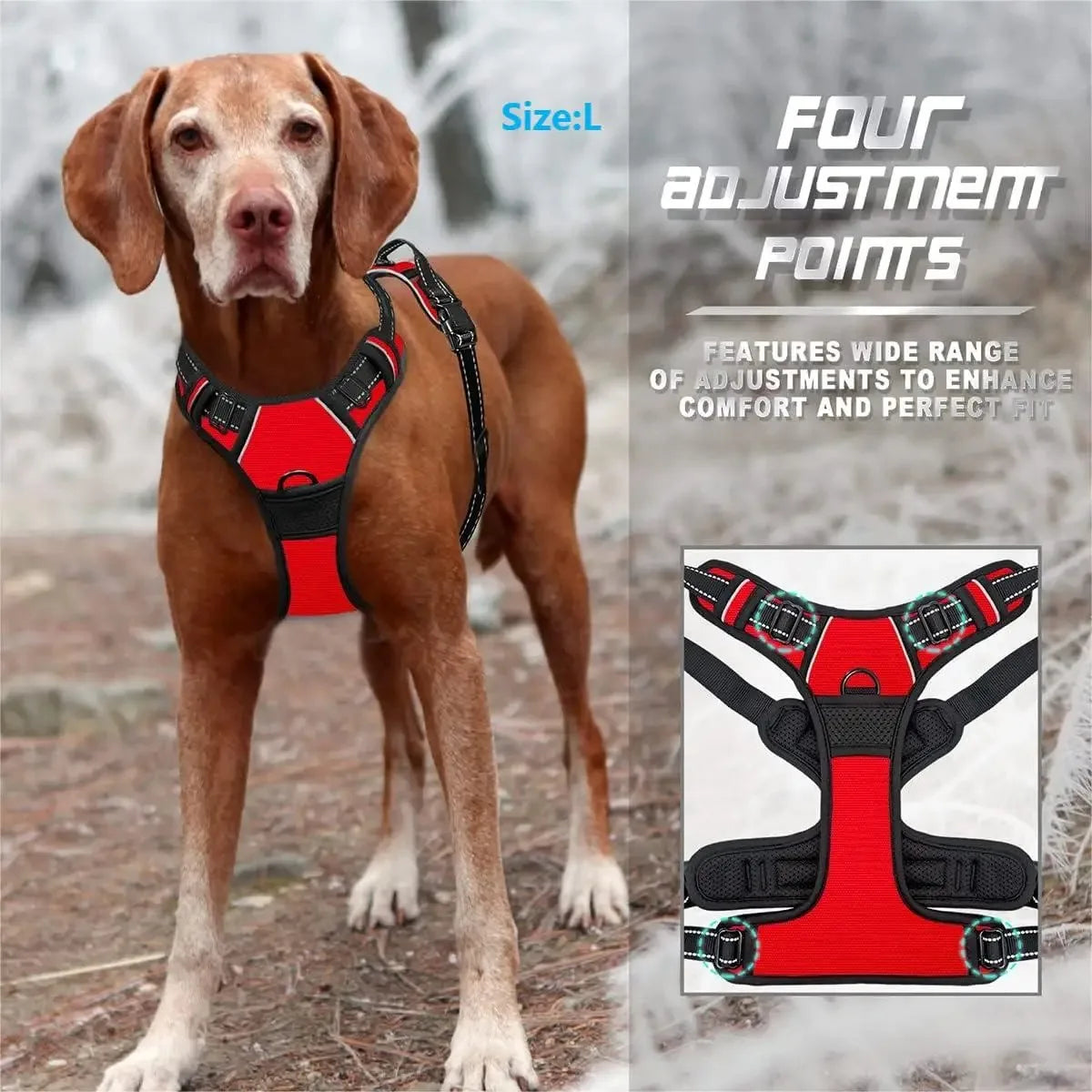 Dog Collar Harness & Leash Set – Leather Vest for Small & Medium Dogs