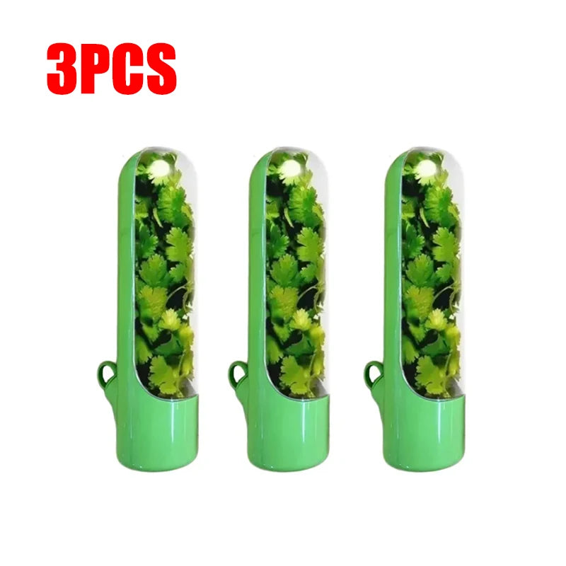 Refrigerator Herb Keeper Freshness Container