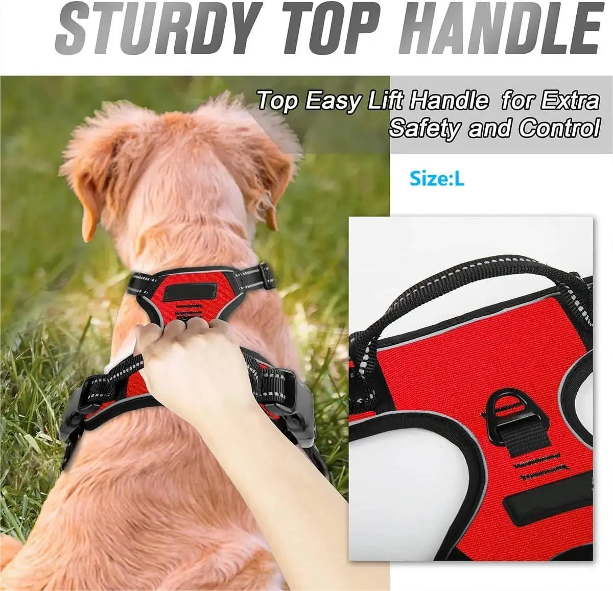 Dog Collar Harness & Leash Set – Leather Vest for Small & Medium Dogs